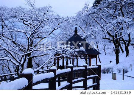 【神奈川縣】白雪皚皚的櫻花樹和涼亭 【神奈川縣】白雪皚皚的櫻花樹和涼亭 141881889