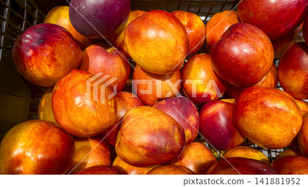 Ripe nectarines and peaches are displayed in plastic shopping crates. Ripe nectarines and peaches are displayed in plastic shopping crates. 141881952
