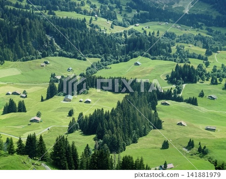 A bird's-eye view of the lush green meadows and mountain lodges of the Swiss Alps, seen from the cable car. A bird's-eye view of the lush green meadows and mountain lodges of the Swiss Alps, seen from the cable car. 141881979