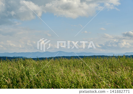 Vast Horizon and Sky Landscape Vast Horizon and Sky Landscape 141882771