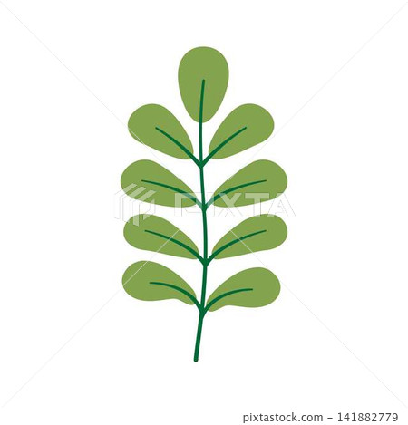 Green plant branch with fresh minimal leaves Green plant branch with fresh minimal leaves 141882779