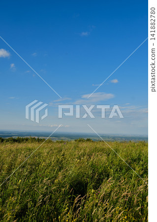 VAST MEADOW AND SKY LANDSCAPE VAST MEADOW AND SKY LANDSCAPE 141882780