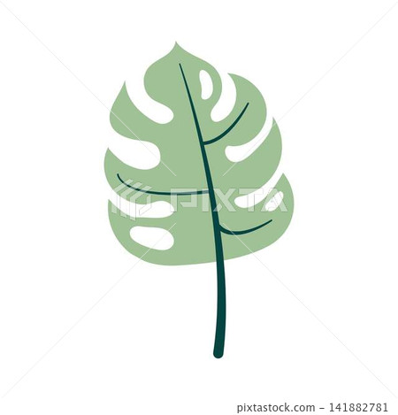 Green monstera leaf vector graphic illustration design Green monstera leaf vector graphic illustration design 141882781