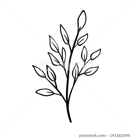 Minimalist botanical line art drawing branch with leaves 141882999