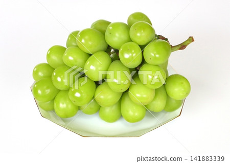 Shine Muscat Shine Muscat 141883339