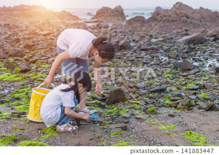 Asian Family Exploring Rocky Beach Tide Pool During Summer Vacation 141883447