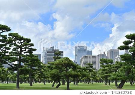 皇宮前的廣場和日比谷地區的建築。 皇宮前的廣場和日比谷地區的建築。 141883728
