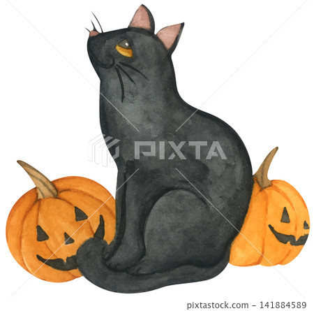 Halloween black cat illustration set, cute kitten with pumpkin jack o lantern, spooky autumn holiday decor. hand drawn cartoon character for happy Halloween party. Halloween black cat illustration set, cute kitten with pumpkin jack o lantern, spooky autumn holiday decor. hand drawn cartoon character for happy Halloween party. 141884589