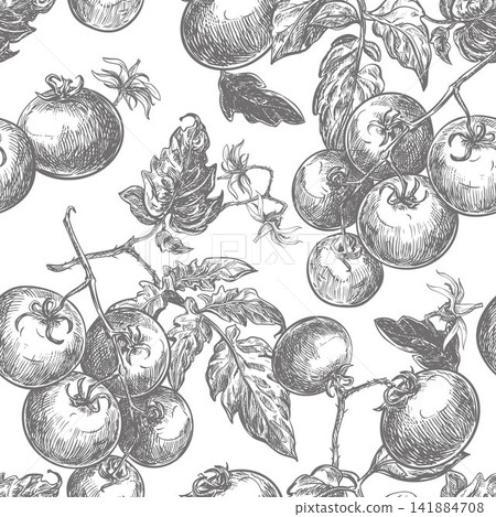 A seamless pattern of pomidoro branches. A backdrop for packaging and textiles. Branches with round cherry tomatoes, leaves, and flowers intertwined. Vector line sketch in a retro ink style. A seamless pattern of pomidoro branches. A backdrop for packaging and textiles. Branches with round cherry tomatoes, leaves, and flowers intertwined. Vector line sketch in a retro ink style. 141884708