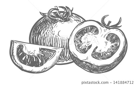 A composition of a whole pomidoro a half and a slice lying on a table. A detailed vector ink drawing imitating an engraving. Farm tomatoes in a retro style. Botanical illustration of a ripe vegetable A composition of a whole pomidoro a half and a slice lying on a table. A detailed vector ink drawing imitating an engraving. Farm tomatoes in a retro style. Botanical illustration of a ripe vegetable 141884712