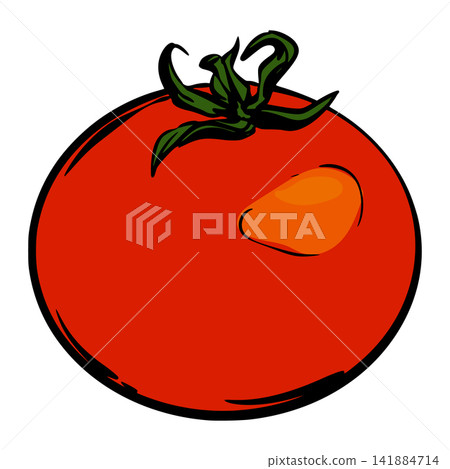 Tomato, vector, vegetable 141884714