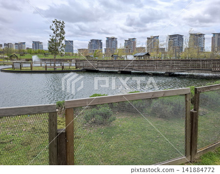Scenic landscape of a modern city park in Istanbul with a pond and a wooden bridge Scenic landscape of a modern city park in Istanbul with a pond and a wooden bridge 141884772