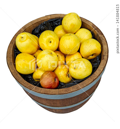 Wooden barrel filled with yellow apples on a white background during daylight Wooden barrel filled with yellow apples on a white background during daylight 141884815