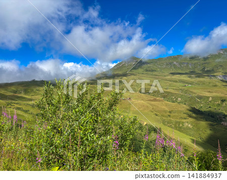 Alpine meadow and mountain ridges in Les Contamines-Montjoie, France Alpine meadow and mountain ridges in Les Contamines-Montjoie, France 141884937