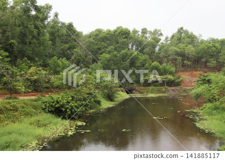 越南,廣南省,美山遺址,美山保護區 越南,廣南省,美山遺址,美山保護區 141885117