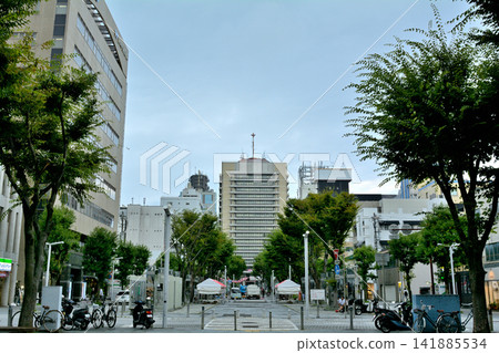 Shizuoka Aoba Symbol Road Shizuoka Aoba Symbol Road 141885534
