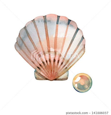 Watercolor scallop seashell and shimmering pearl, hand painted soft coral nautical beach illustration Watercolor scallop seashell and shimmering pearl, hand painted soft coral nautical beach illustration 141886037