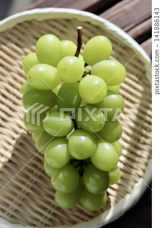 Delicious, slightly imperfect Shine Muscat grapes served on a bamboo sieve. Delicious, slightly imperfect Shine Muscat grapes served on a bamboo sieve. 141886143