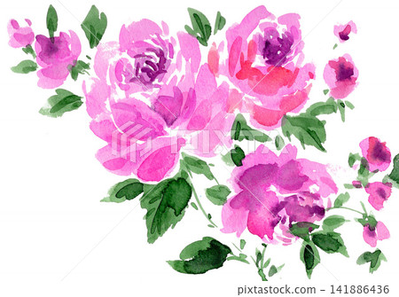 Pink rose painted in watercolor (26810 pixels, 7 pixels) Pink rose painted in watercolor (26810 pixels, 7 pixels) 141886436