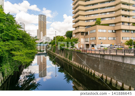 [Tokyo] A view of the Meguro River overflowing with fresh greenery in midsummer (August 2026) 141886645