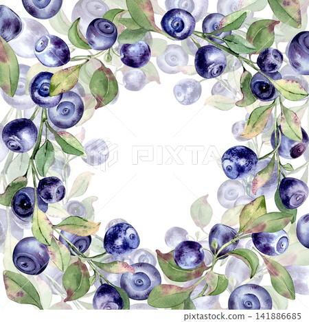 Big fresh blueberry on frame isolated with copy space. Watercolor botanical illustration of bilberry plant hand painted. Decorative bright fruits border with ripe berries and green leaves for design. Big fresh blueberry on frame isolated with copy space. Watercolor botanical illustration of bilberry plant hand painted. Decorative bright fruits border with ripe berries and green leaves for design. 141886685