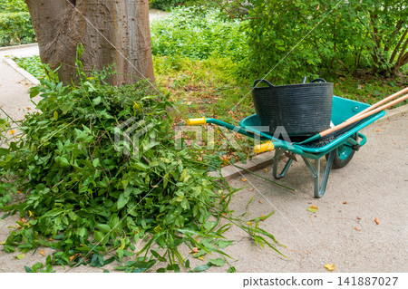 Green Garden Cart Filled with Cut Branches in a Park Green Garden Cart Filled with Cut Branches in a Park 141887027