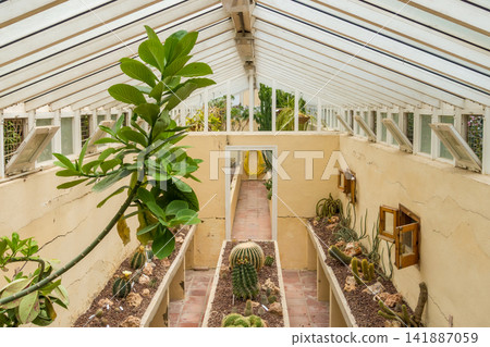 Historic Brick and Glass Greenhouse Filled with Cacti Historic Brick and Glass Greenhouse Filled with Cacti 141887059