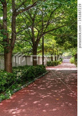 Tokyo: A famous Japanese landmark - the promenade along the Meguro River, overflowing with fresh greenery (August 2026) Tokyo: A famous Japanese landmark - the promenade along the Meguro River, overflowing with fresh greenery (August 2026) 141887219