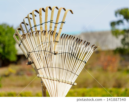 Traditional bamboo rake used for garden work Traditional bamboo rake used for garden work 141887340