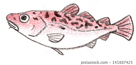 Cod colored pencil drawing Cod colored pencil drawing 141887425
