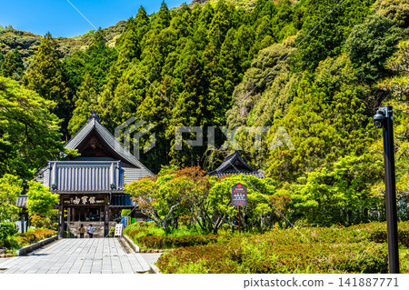 琉璃光寺（國寶）[山口縣山口市] 141887771
