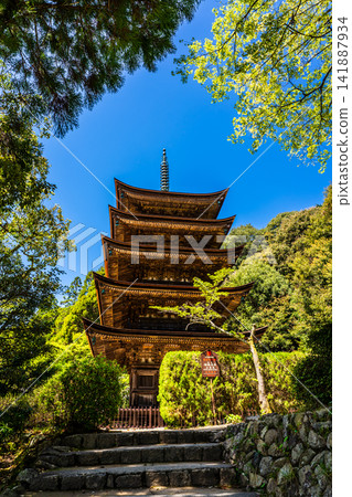 National Treasure Rurikoji Temple Five-Storied Pagoda [Yamaguchi City, Yamaguchi Prefecture] 141887934