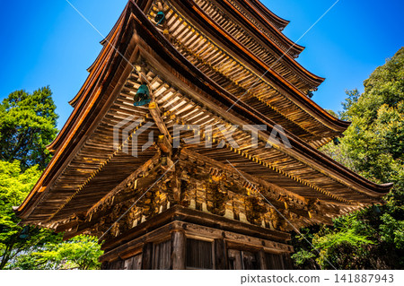National Treasure Rurikoji Temple Five-Storied Pagoda [Yamaguchi City, Yamaguchi Prefecture] 141887943