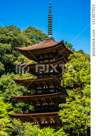 National Treasure Rurikoji Temple Five-Storied Pagoda [Yamaguchi City, Yamaguchi Prefecture] 141887953