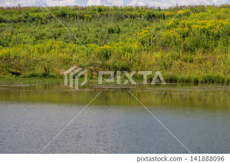Serenity in the countryside as vibrant flora meets tranquil waters under a bright blue sky Serenity in the countryside as vibrant flora meets tranquil waters under a bright blue sky 141888096