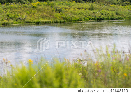 Serene riverbank surrounded by lush greenery on a sunny afternoon inviting nature lovers for a peaceful escape Serene riverbank surrounded by lush greenery on a sunny afternoon inviting nature lovers for a peaceful escape 141888113
