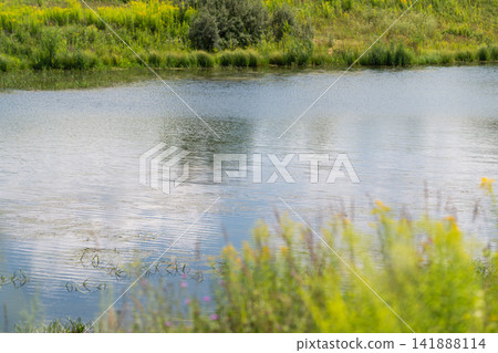 Serene waters reflecting the sky and nature in a peaceful rural setting Serene waters reflecting the sky and nature in a peaceful rural setting 141888114