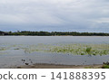 The Dnipro River flows through Kyiv - a natural landscape 141888395
