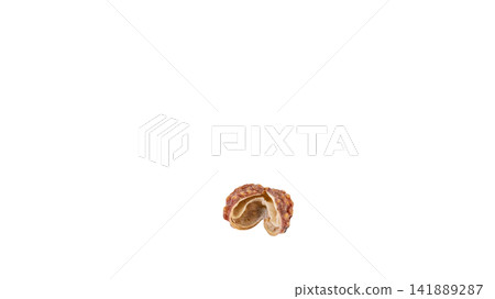 Japanese pepper berries, transparent background, macro. Japanese pepper berries, transparent background, macro. 141889287