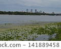 High-rise buildings on the horizon in Kyiv near the Dnipro River, Hydropark 141889458