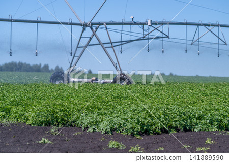 Innovative irrigation system transforms agriculture landscape enhancing crop growth in vibrant green fields during sunny day Innovative irrigation system transforms agriculture landscape enhancing crop growth in vibrant green fields during sunny day 141889590