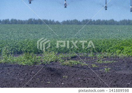 Innovative irrigation system nourishes vibrant crops in a fertile field under a clear blue sky Innovative irrigation system nourishes vibrant crops in a fertile field under a clear blue sky 141889598