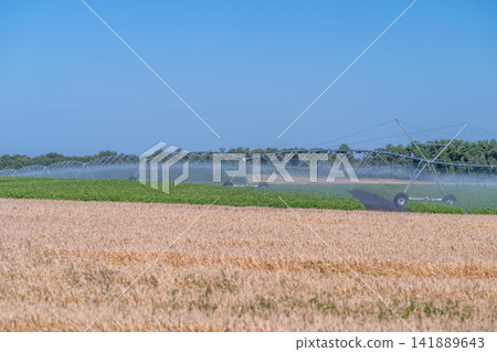 Irrigation system at work nurturing crops under a clear blue sky in the heart of summer Irrigation system at work nurturing crops under a clear blue sky in the heart of summer 141889643