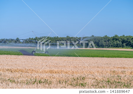 Modern irrigation system enhances crop growth in a vibrant field under a clear blue sky Modern irrigation system enhances crop growth in a vibrant field under a clear blue sky 141889647