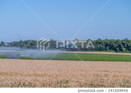 Irrigation system adding life to lush farmland under a bright blue sky in the heart of summer Irrigation system adding life to lush farmland under a bright blue sky in the heart of summer 141889648