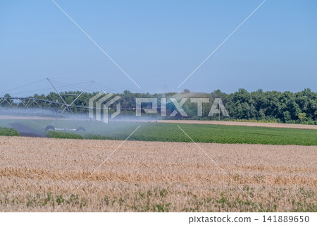 Innovative irrigation system enhancing crop growth in a vibrant field under a clear blue sky Innovative irrigation system enhancing crop growth in a vibrant field under a clear blue sky 141889650