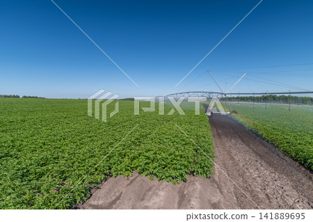 Expansive field nourished by a state-of-the-art irrigation system on a clear sunny day Expansive field nourished by a state-of-the-art irrigation system on a clear sunny day 141889695