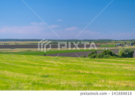Vast green fields stretch under a clear blue sky showcasing the beauty of rural landscapes during a sunny day Vast green fields stretch under a clear blue sky showcasing the beauty of rural landscapes during a sunny day 141889818