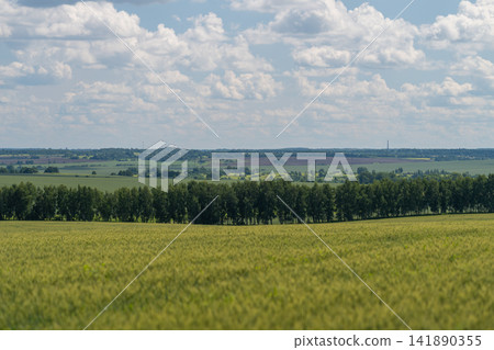 Rolling hills and vibrant fields beneath a stunning sky with fluffy clouds create a picturesque landscape in the countryside Rolling hills and vibrant fields beneath a stunning sky with fluffy clouds create a picturesque landscape in the countryside 141890355