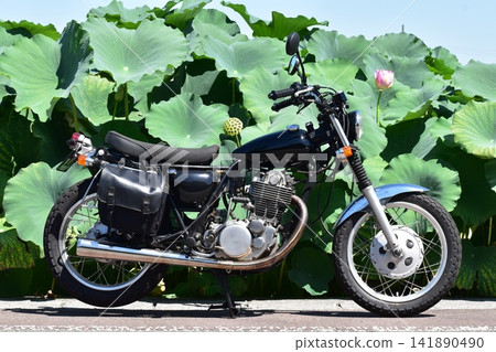 I leisurely rode my motorcycle through the lotus fields of Aisai City. I leisurely rode my motorcycle through the lotus fields of Aisai City. 141890490